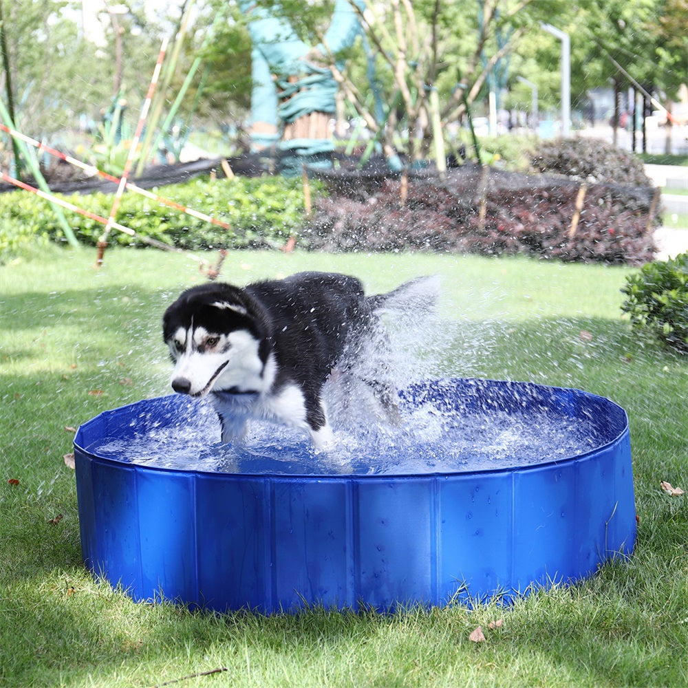 Foldable Dog Pool Pet Bath Swimming Tub Bathtub Outdoor Indoor Collapsible Bathing Pool for Dogs Cats Kids Pool