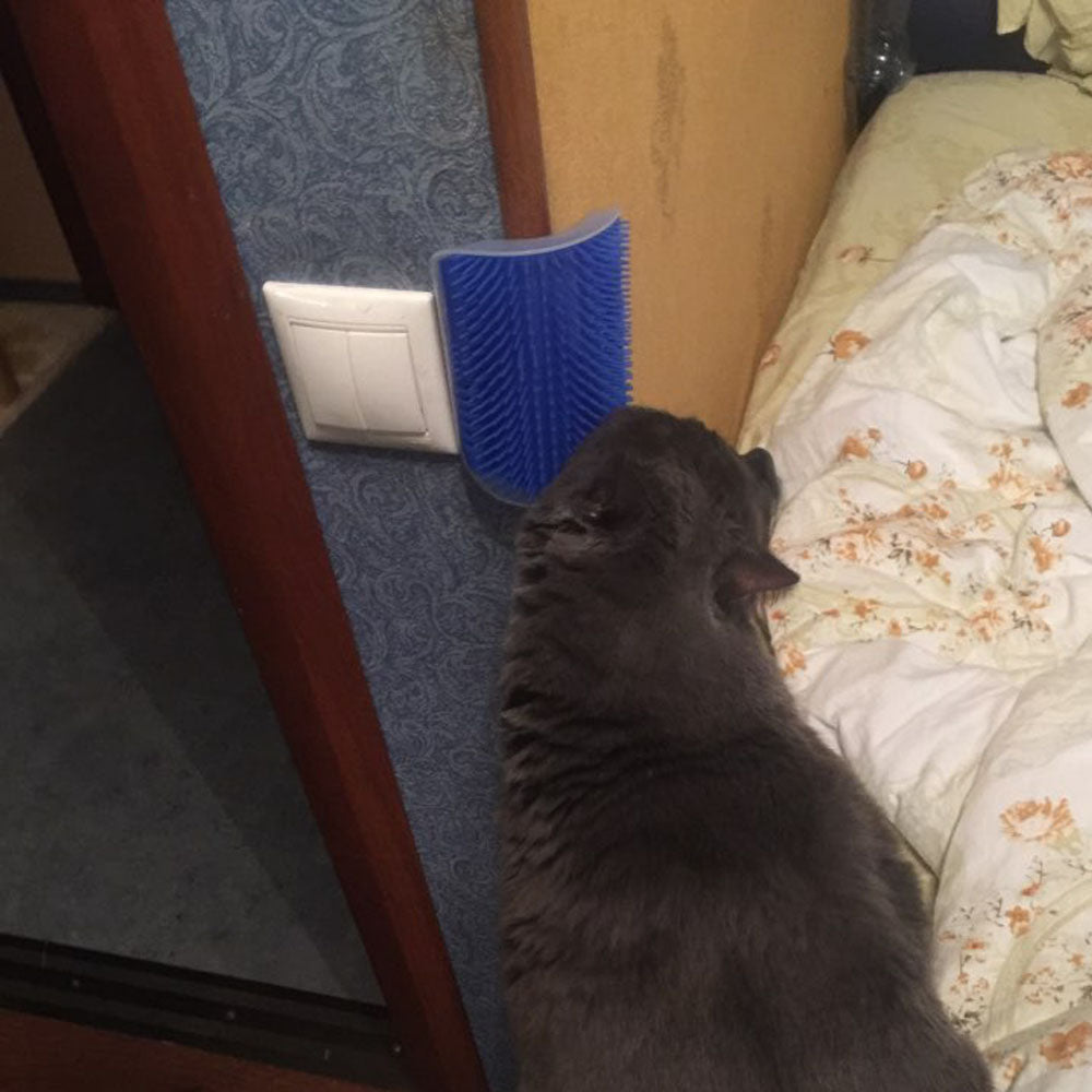 Removable Cat Corner Brush Plastic Pet Comb Kitten Corner Scratching R –  Seasalt